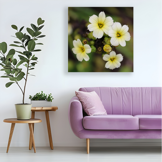 Giclee Mounted Wall Art Prints. Pale Yellow Eyed Grass Flowers. The Lost Gardens of Heligan. Pentewan. St. Austell. Cornwall. England.