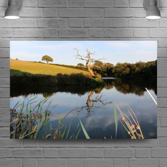 Giclee Mounted Wall Art Prints. Pensagillas Camping Park. Mevagissey. Truro. Cornwall. England.