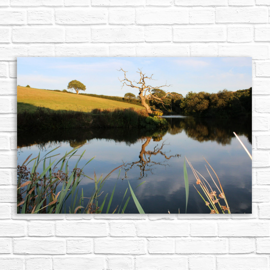 Giclee Mounted Wall Art Prints. Pensagillas Camping Park. Mevagissey. Truro. Cornwall. England.