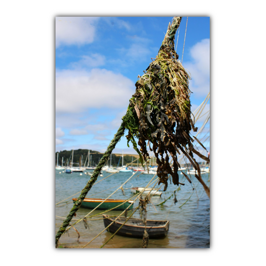 Giclee Mounted Wall Art Prints. Falmouth. Cornwall. England.