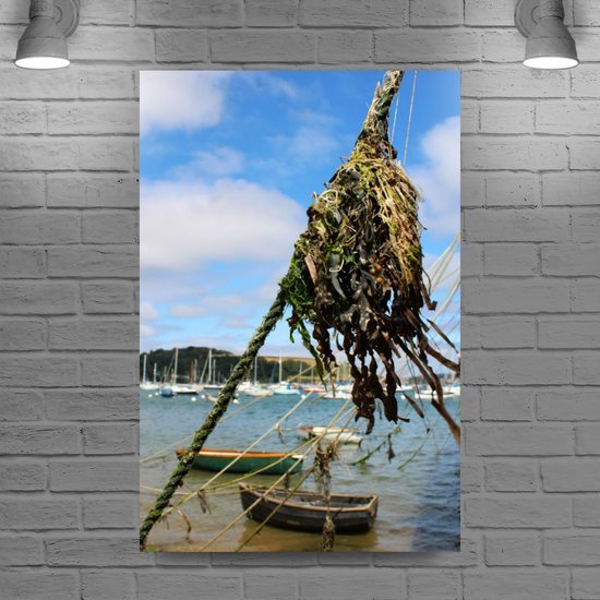 Giclee Mounted Wall Art Prints. Falmouth. Cornwall. England.