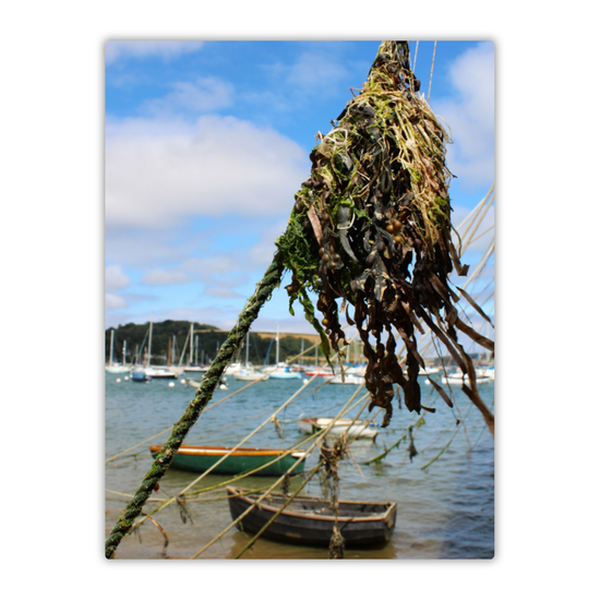 Metal Wall Art Prints. Falmouth. Cornwall. England.