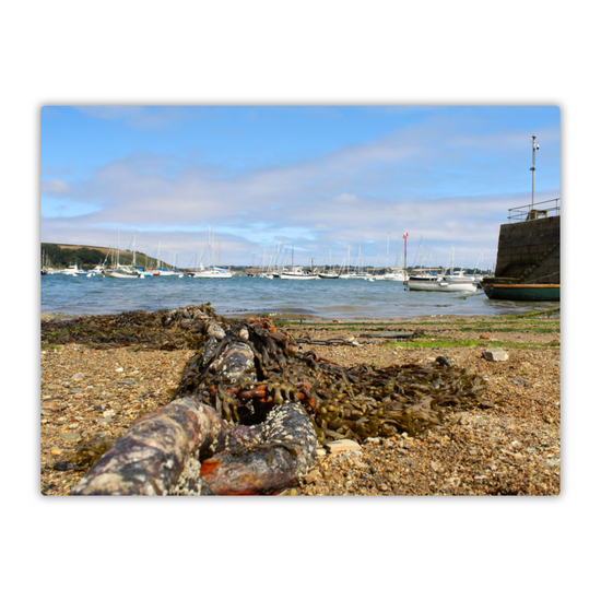 Metal Wall Art Prints. Falmouth. Cornwall. England.