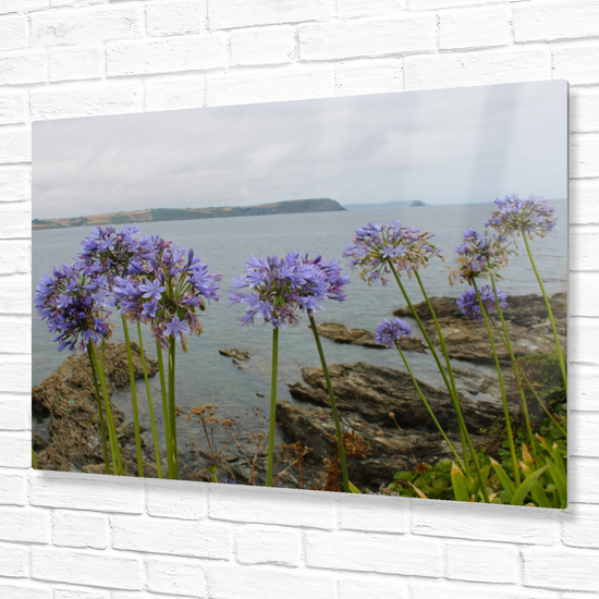Metal Wall Art Prints. Portscatho. Cornwall. England.