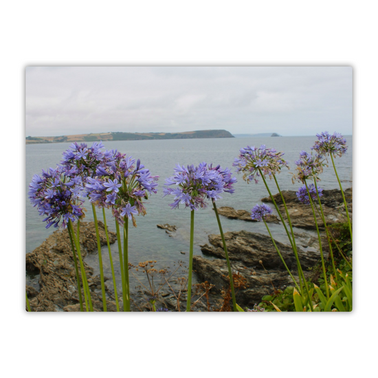 Metal Wall Art Prints. Portscatho. Cornwall. England.