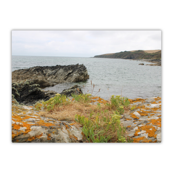 Metal Wall Art Prints. Portscatho. Cornwall. England.