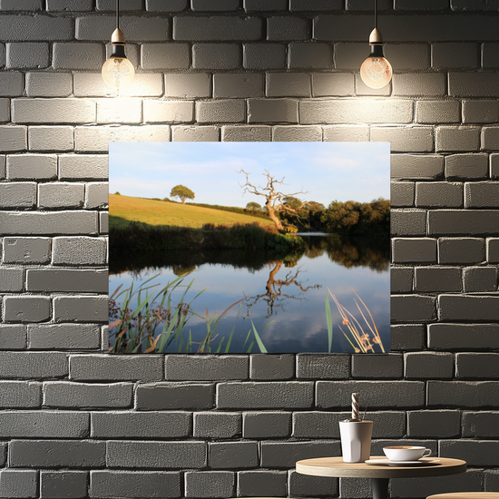 Metal Wall Art Prints. Pensagillas Camping Park. Mevagissey. Truro. Cornwall. England.