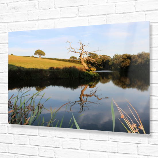 Metal Wall Art Prints. Pensagillas Camping Park. Mevagissey. Truro. Cornwall. England.