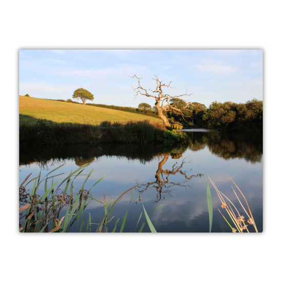 Metal Wall Art Prints. Pensagillas Camping Park. Mevagissey. Truro. Cornwall. England.
