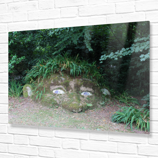 The Lost Gardens of Heligan. St. Austell. Cornwall. England.