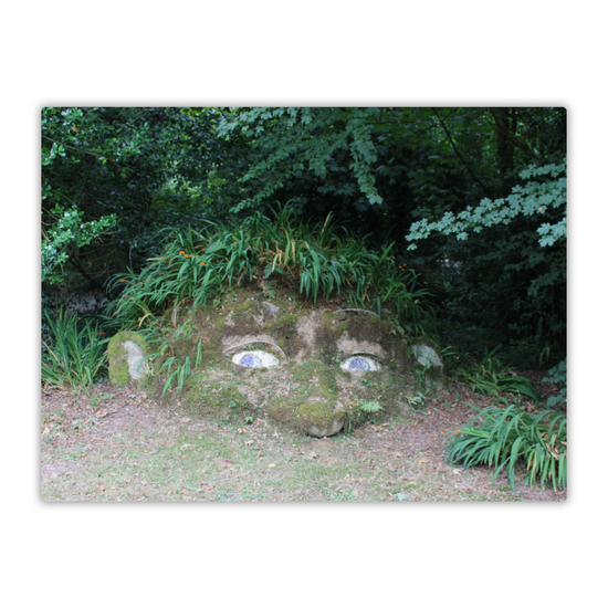 The Lost Gardens of Heligan. St. Austell. Cornwall. England.