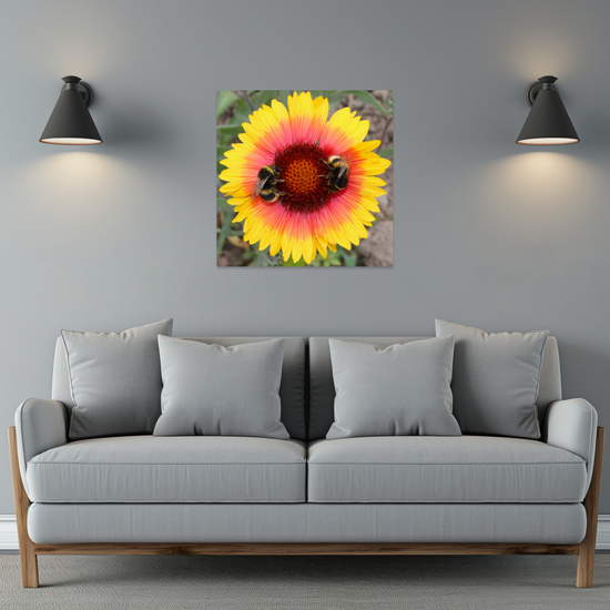 Metal Wall Art Prints. The Lost Gardens Of Heligan. St. Austell. Cornwall. England.