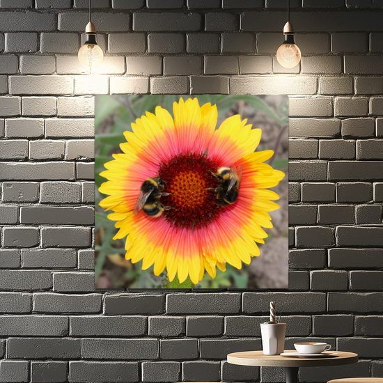 Metal Wall Art Prints. The Lost Gardens Of Heligan. St. Austell. Cornwall. England.