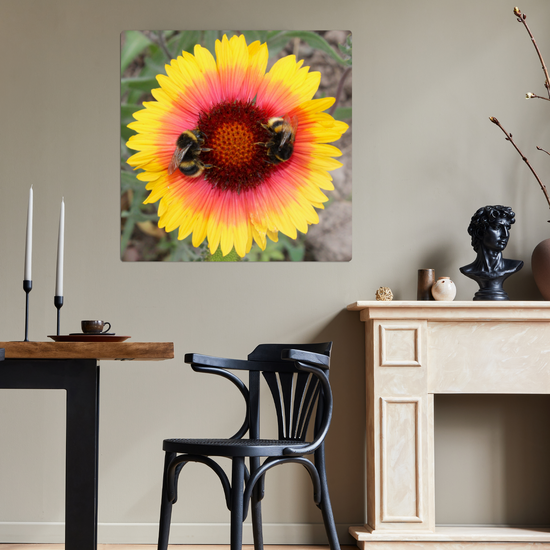 Metal Wall Art Prints. The Lost Gardens Of Heligan. St. Austell. Cornwall. England.
