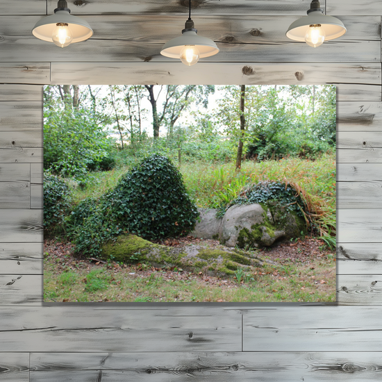 Metal Wall Art Prints. The Lost Gardens Of Heligan. St. Austell. Cornwall. England.