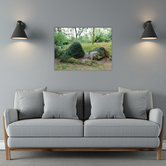 Metal Wall Art Prints. The Lost Gardens Of Heligan. St. Austell. Cornwall. England.