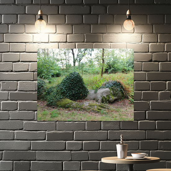 Metal Wall Art Prints. The Lost Gardens Of Heligan. St. Austell. Cornwall. England.