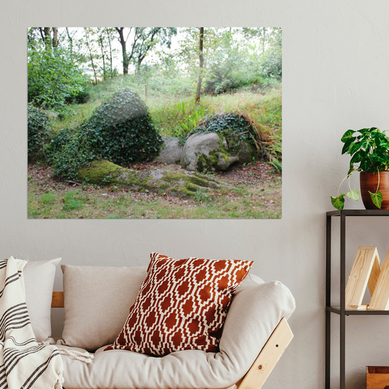 Metal Wall Art Prints. The Lost Gardens Of Heligan. St. Austell. Cornwall. England.