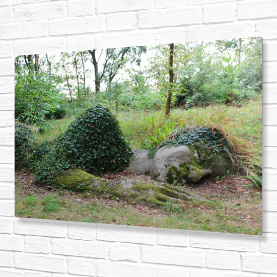 Metal Wall Art Prints. The Lost Gardens Of Heligan. St. Austell. Cornwall. England.