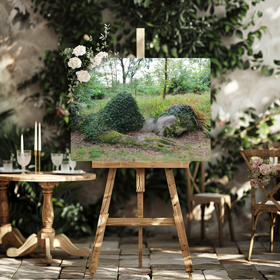 Metal Wall Art Prints. The Lost Gardens Of Heligan. St. Austell. Cornwall. England.