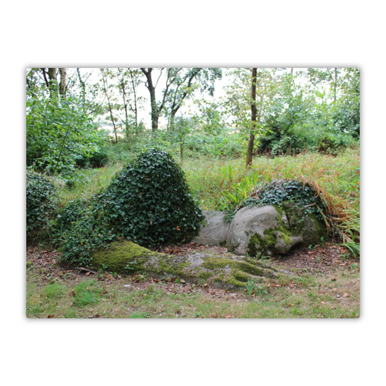 Metal Wall Art Prints. The Lost Gardens Of Heligan. St. Austell. Cornwall. England.
