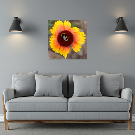 Metal Wall Art Prints. The Lost Gardens Of Heligan. St. Austell. Cornwall.