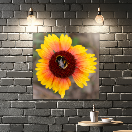 Metal Wall Art Prints. The Lost Gardens Of Heligan. St. Austell. Cornwall.