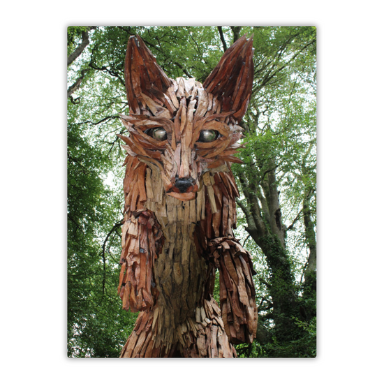 Metal Wall Art Prints. The Lost Gardens Of Heligan. St. Austell. Cornwall.