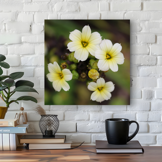 Metal Wall Art Prints. The Lost Gardens of Heligan. St. Austell. Cornwall. England.