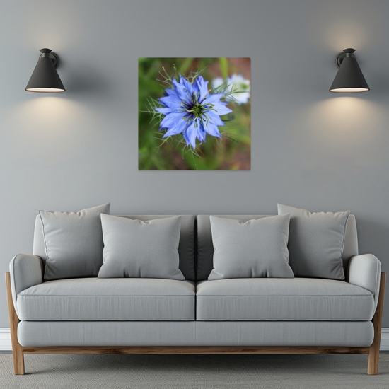 Metal Wall Art Prints. The Lost Gardens of Heligan. St. Austell. Cornwall. England.