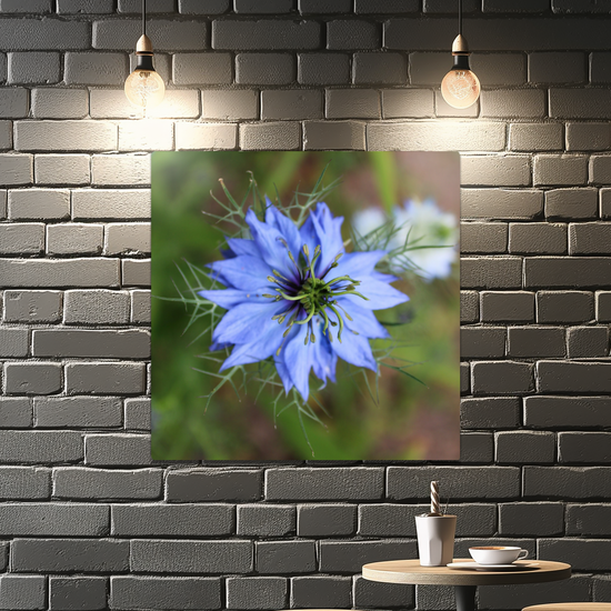Metal Wall Art Prints. The Lost Gardens of Heligan. St. Austell. Cornwall. England.