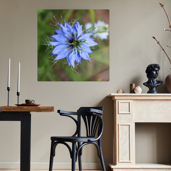 Metal Wall Art Prints. The Lost Gardens of Heligan. St. Austell. Cornwall. England.