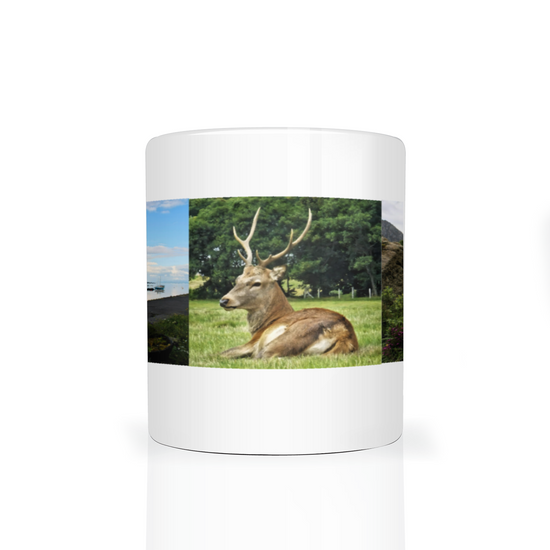 Two Tone Photo Mugs. Isle of Arran. Scotland.